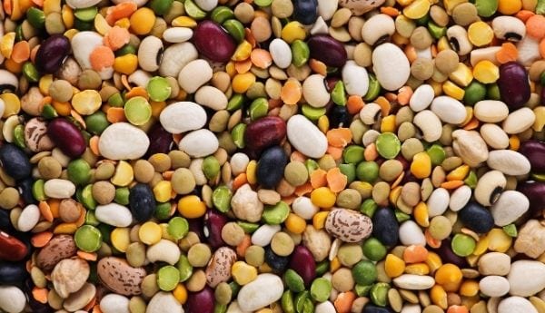 Dry Bean Suppliers